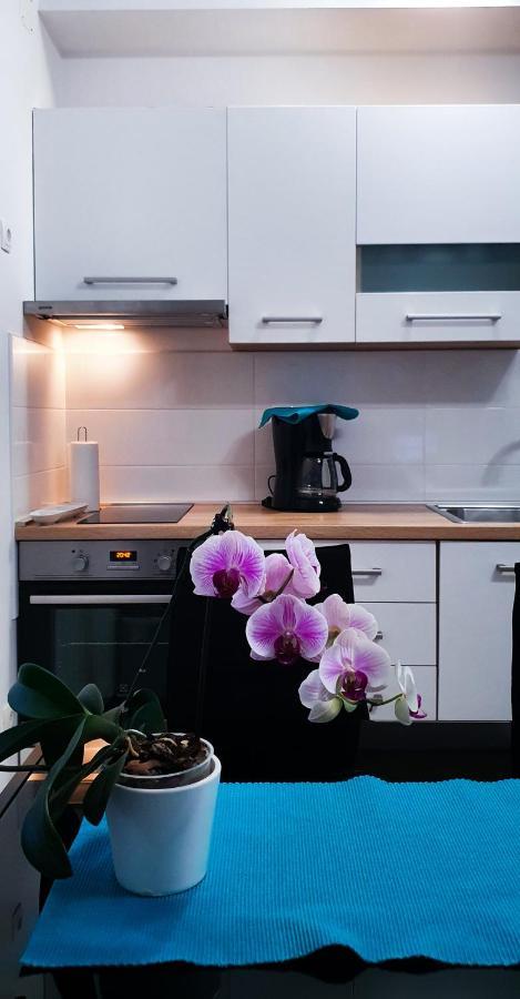 Radenka Zafron Apartment 보디체 외부 사진